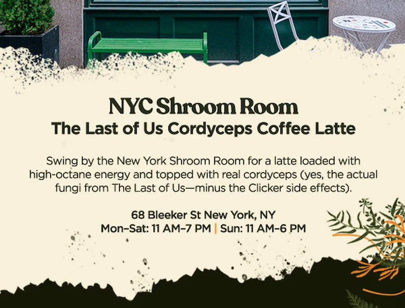 Swing by the NY Shroom Room