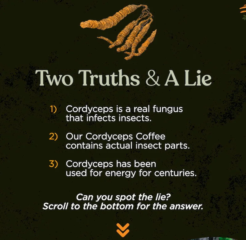 Two Truths & A Lie