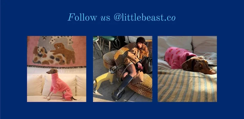 Follow us @littlebeast.co