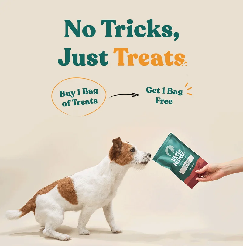 No Tricks, Just Treats