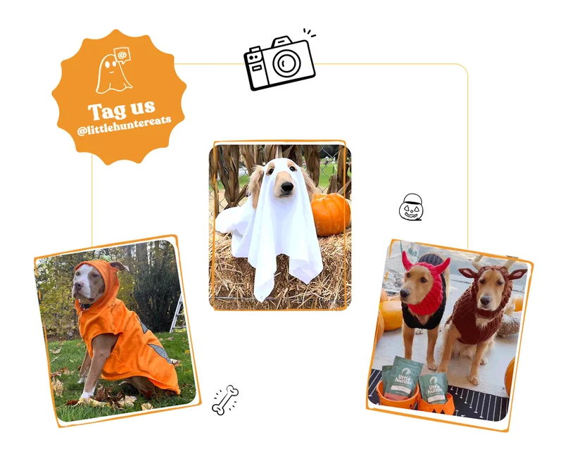 Show Off Your Spooky Side!