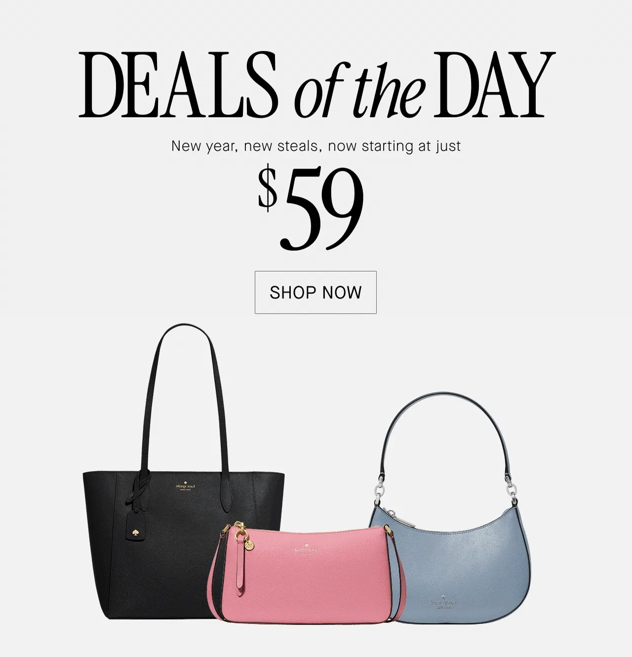 DEALS of the DAY
