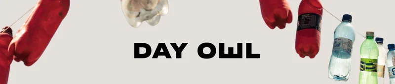 Day Owl