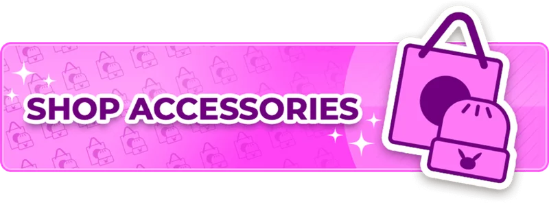 Shop Accessories ›