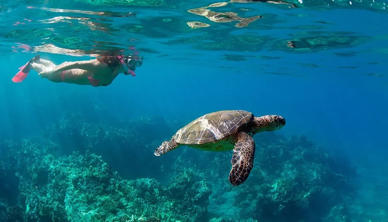 Image description: Snorkeling in Poipu, Kauai.