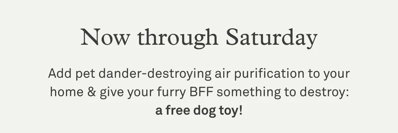 Now through 11/11: Get 20% off air purifiers + a free dog toy
