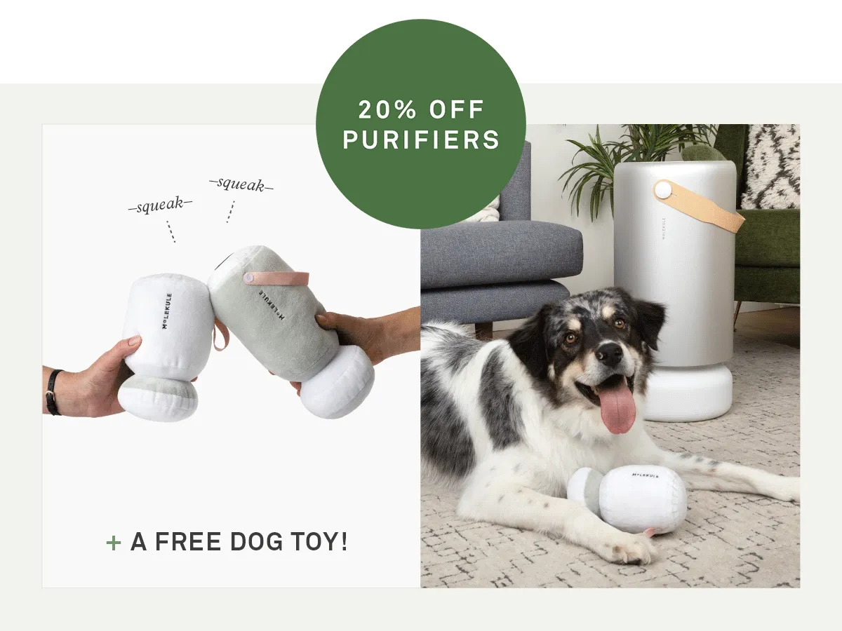 Now through 11/11: Get 20% off air purifiers + a free dog toy
