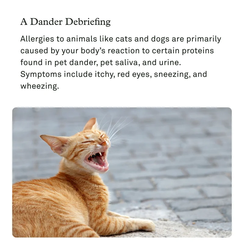 Allergies to animals like cats and dogs are primarily caused by your body's reaction to certain proteins found in pet dander. Symptoms include itchy, red eyes, sneezing, and wheezing.