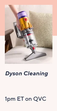 Dyson Cleaning