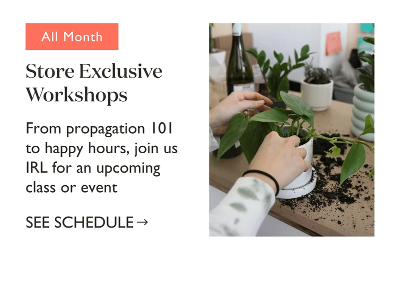 Store Exclusive Workshops: From propagation 101 to happy hours, join us IRL for an upcoming class or event.