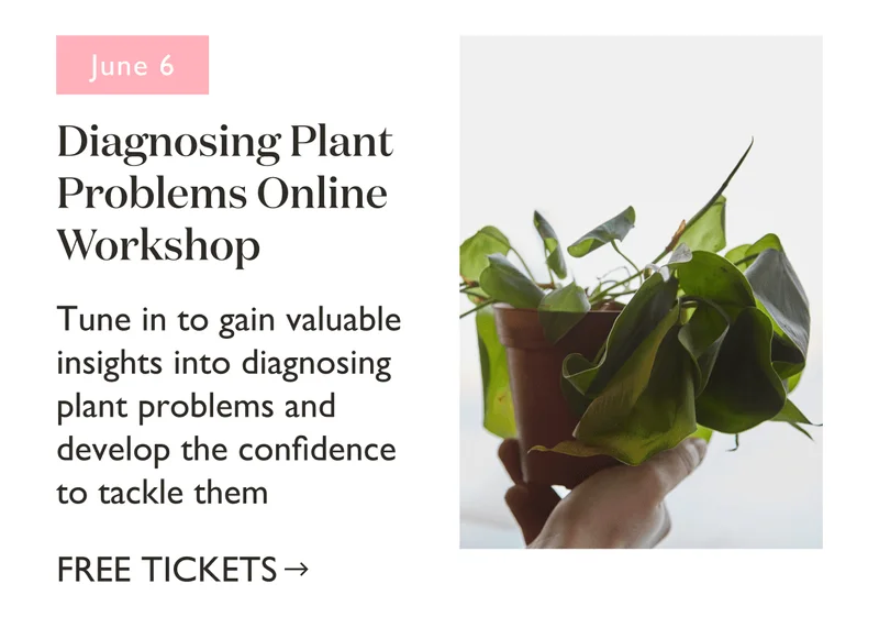 Diagnosing Plant Problems Online Workshop, June 6