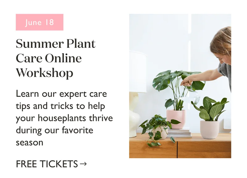 Summer Plant Care Online Workshop, June 18