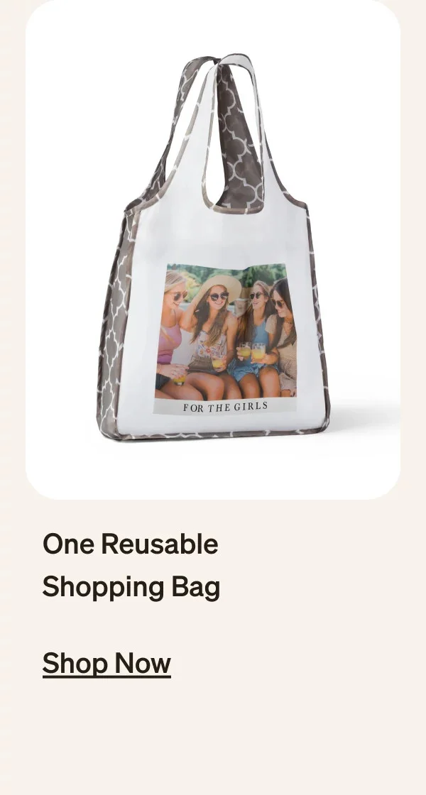 One Reusable Shipping Bag
