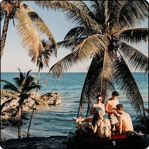 Image Description: A group of people on the beach surrounded by large palm trees with a rocky coastline and ocean in the background.