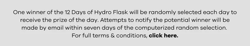 Terms & Conditions