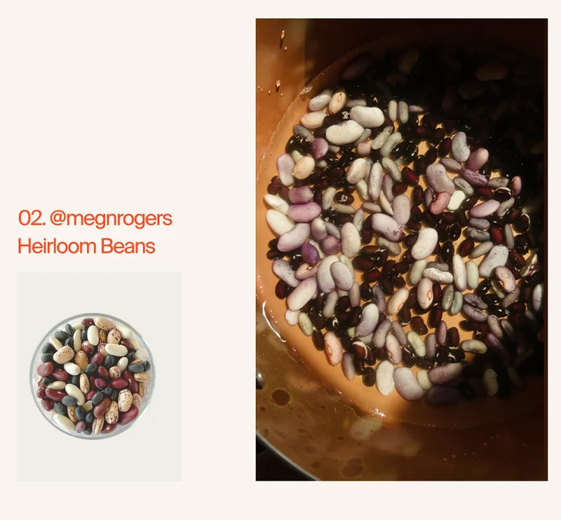 Heirloom Beans