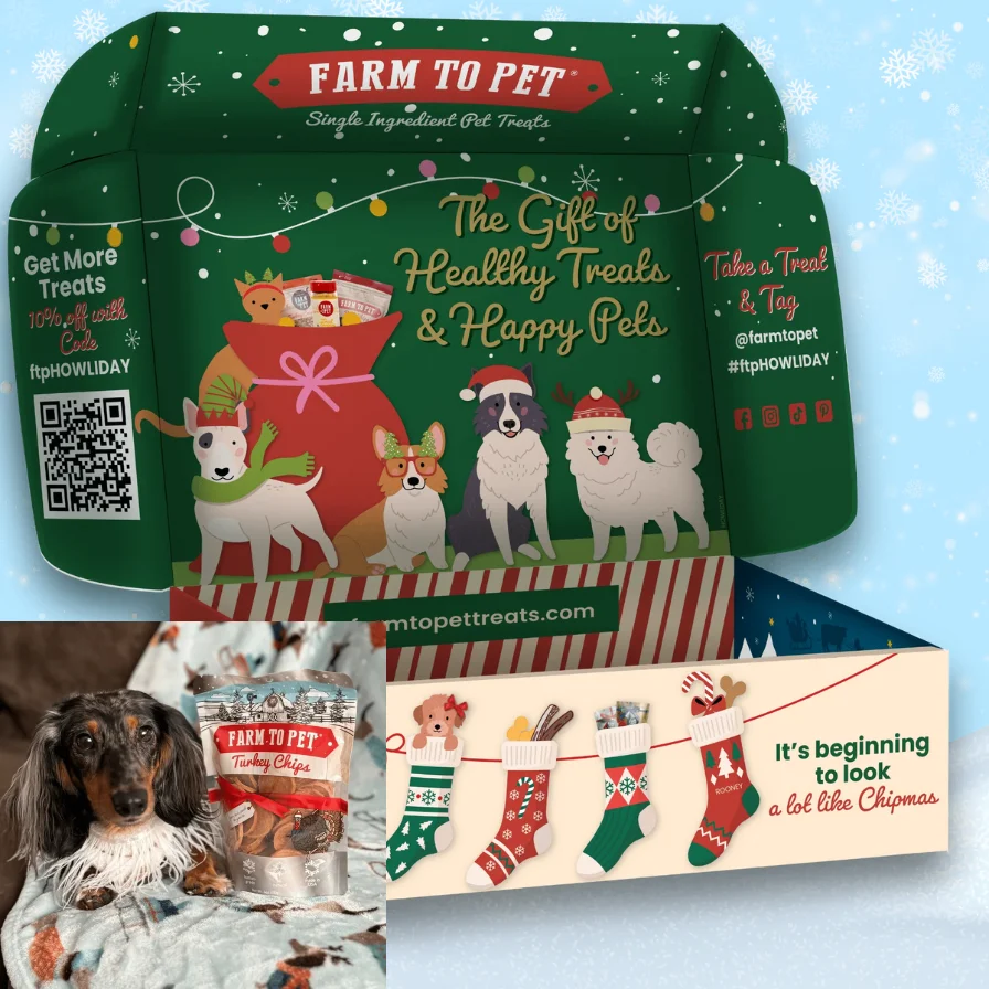 Chipmas Box