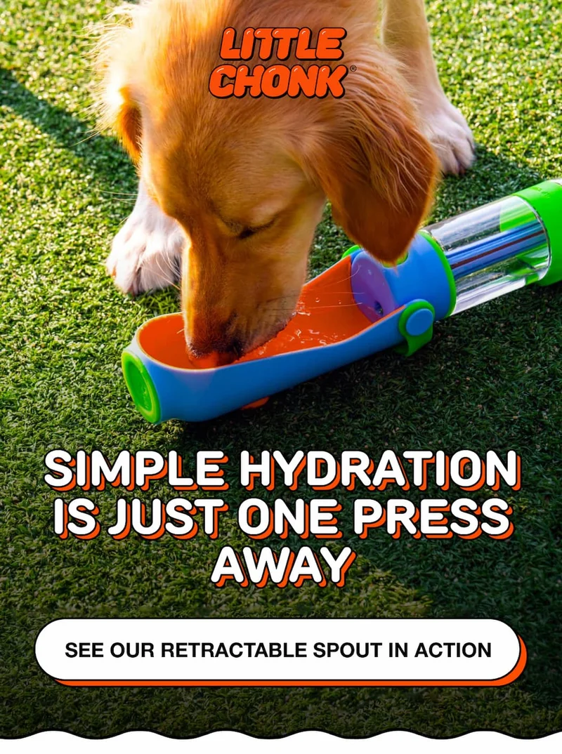 SIMPLE HYDRATION IS JUST ONE PRESS AWAY