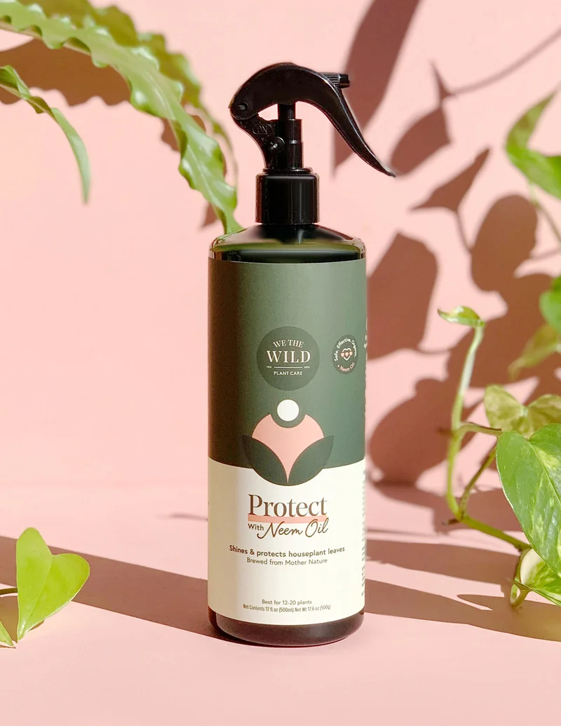 Image of Protect Spray with Neem