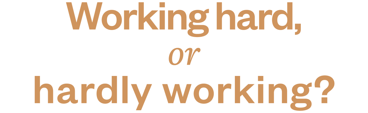 Working hard or hardly working?