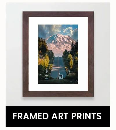 Shop Framed Art Prints