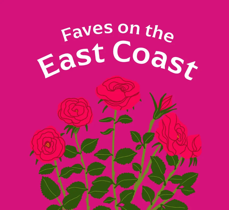 Faves on the East Coast