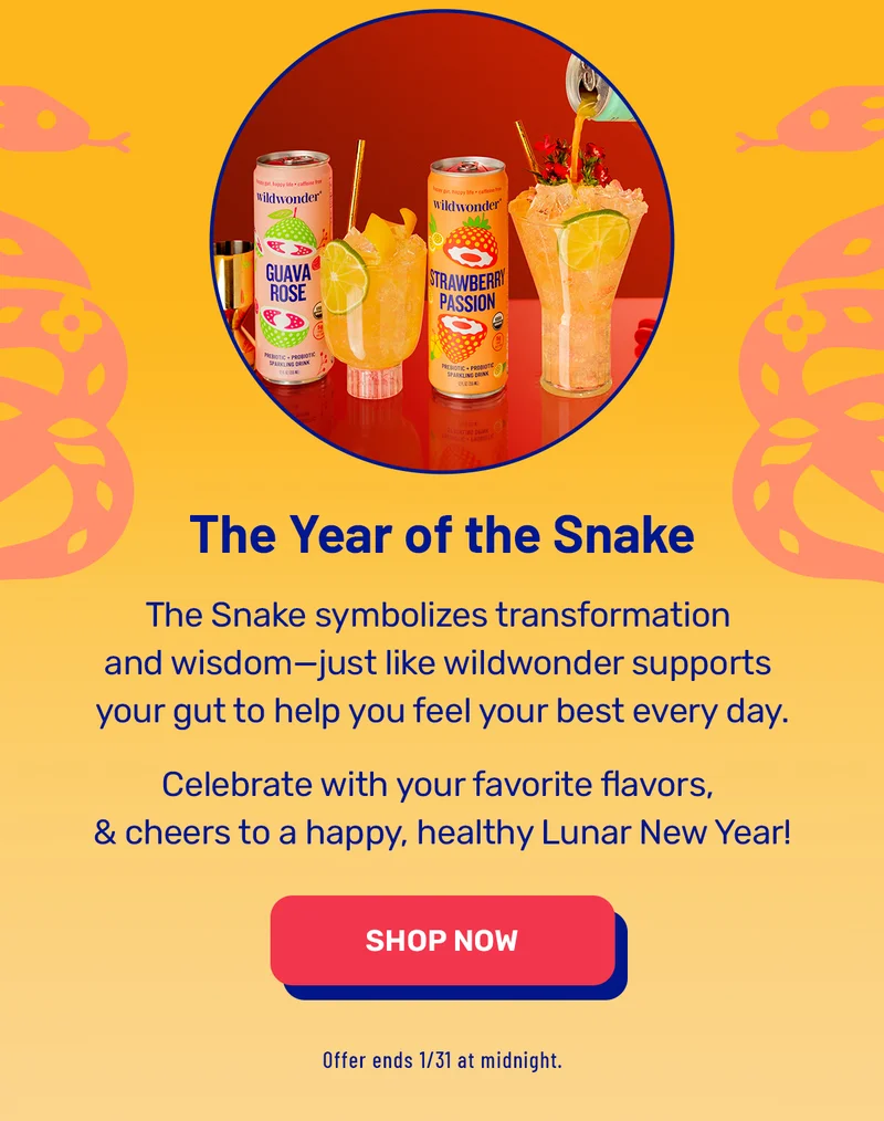 Use SNAKE20!!