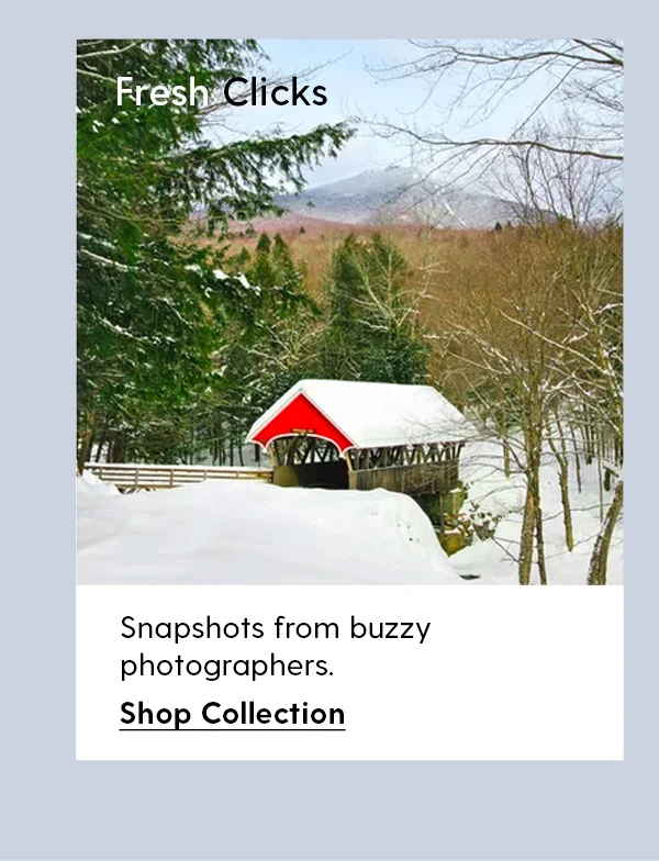 Fresh Clicks | Snapshots from buzzy photographers. | Shop Collection