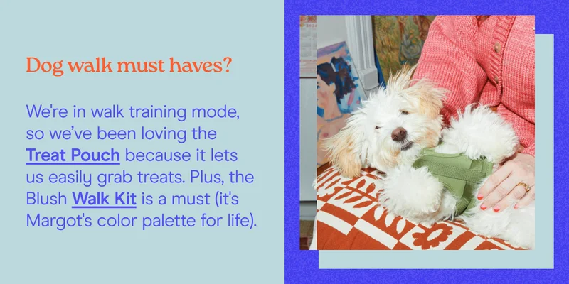Dog walk must haves? We're in walk training mode, so we’ve been loving the Treat Pouch because it lets us easily grab treats. Plus, the Blush Walk Kit is a must (it's Margot's color palette for life).
