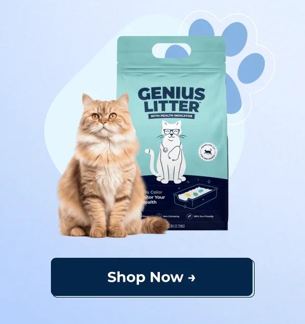 Shop Genius Litter Now