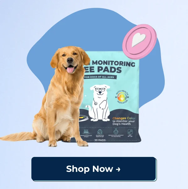 Shop Genius Pee Pads Now