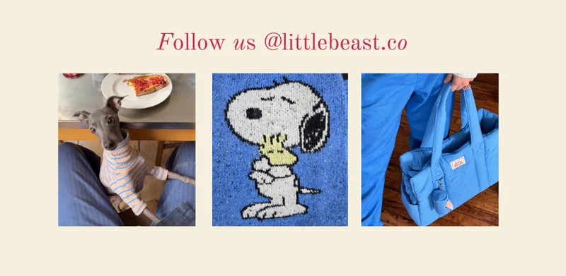 Follow us on Instagram