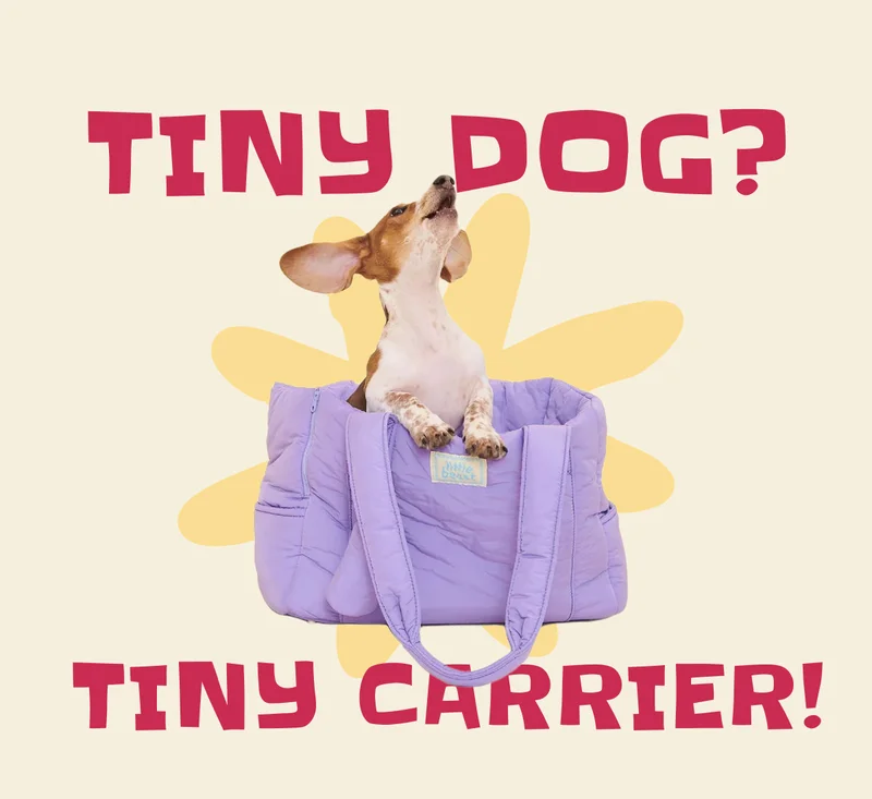 Tiny dog? Tiny carrier!
