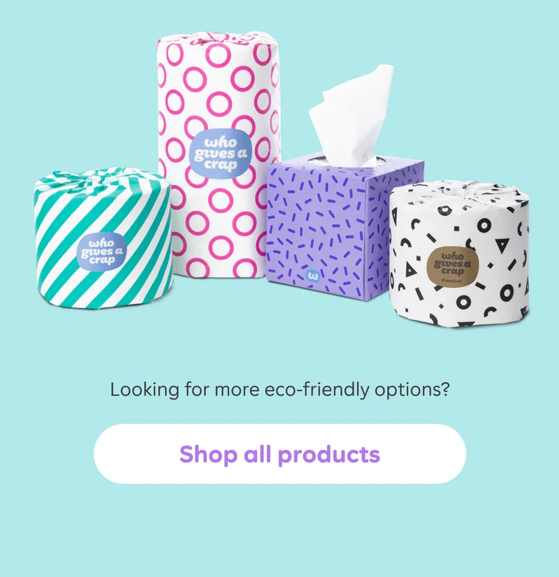 Looking for more eco-friendly options? Shop all products