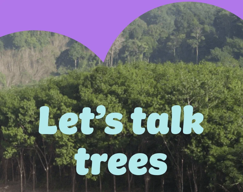 Let's talk trees