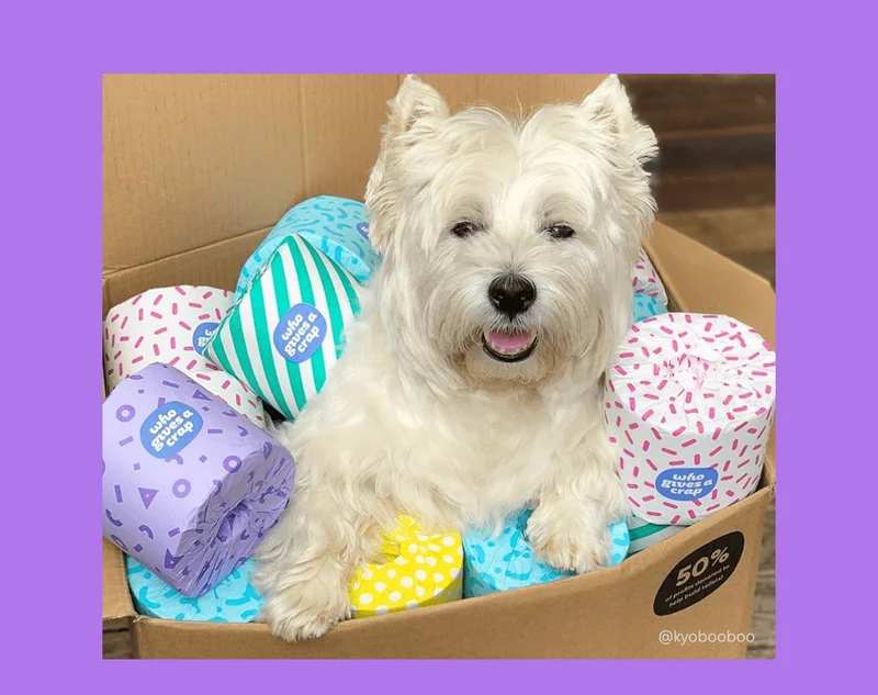 Image: Pup with recycled rolls