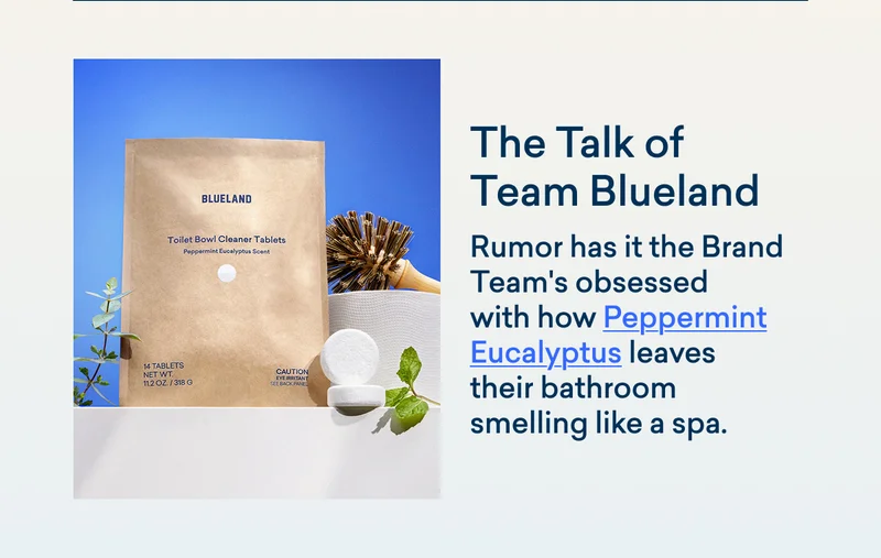 Our brand team is loving our new Peppermint Eucalyptus toilet tablets.