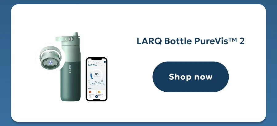 LARQ Bottle PureVis™ 2