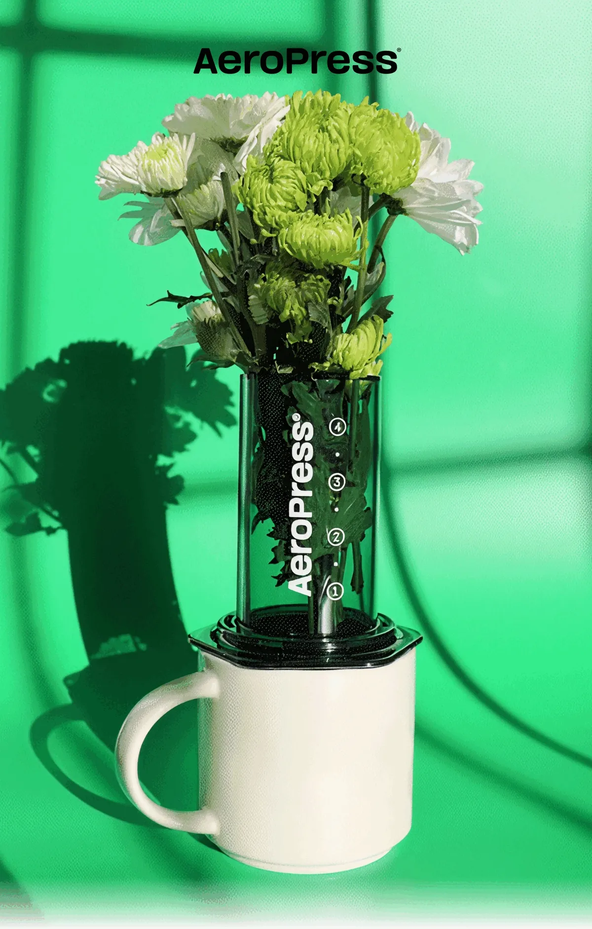 AeroPress