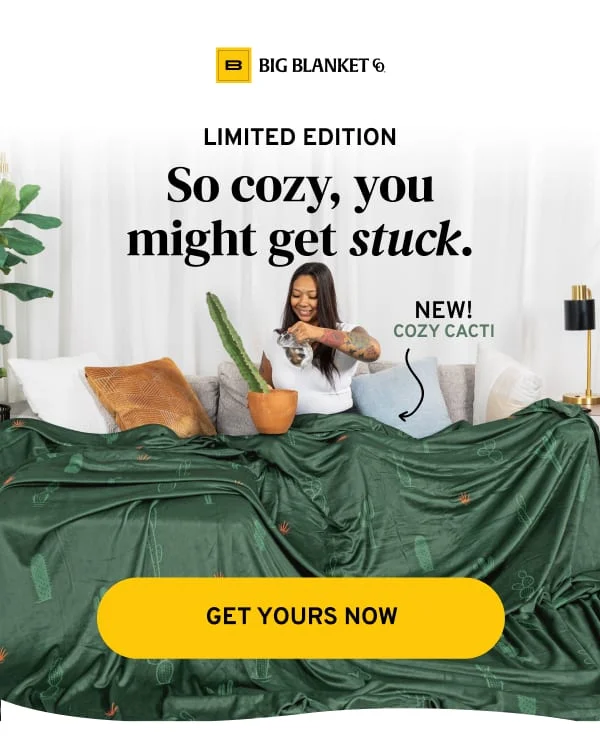 Cozy Cacti