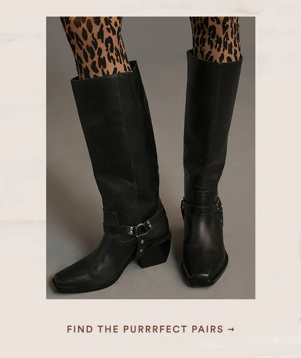 find the purrrfect pairs