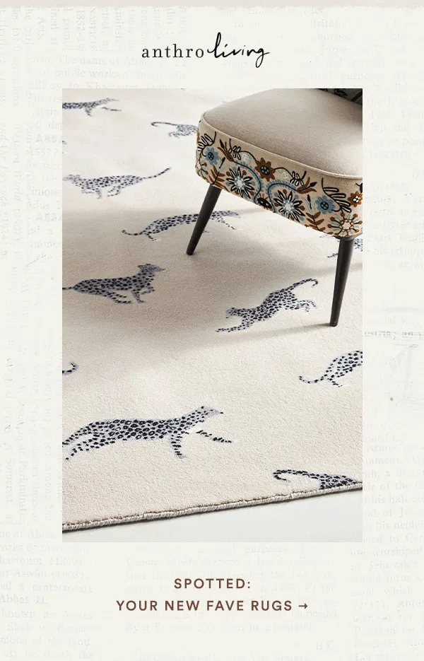 your new fave rugs