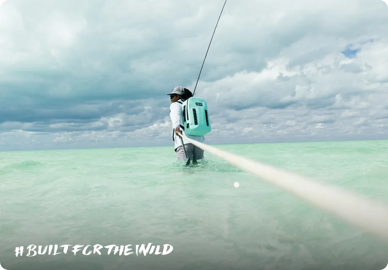 Built For The Wild Built For The Wild