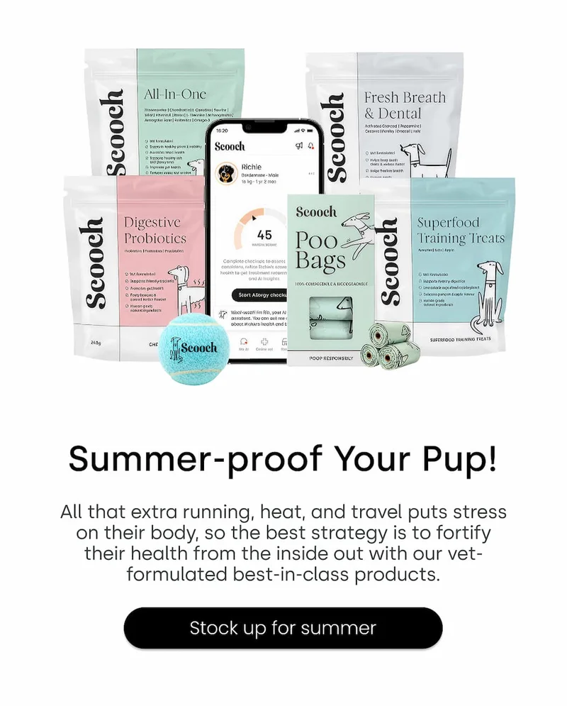 Stock up for summer
