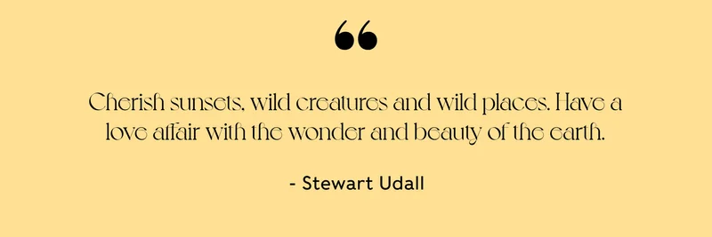 Cherish sunsets, wild creatures and wild places. Have a love affair with the wonder and beauty of the earth. - Stewart Udall