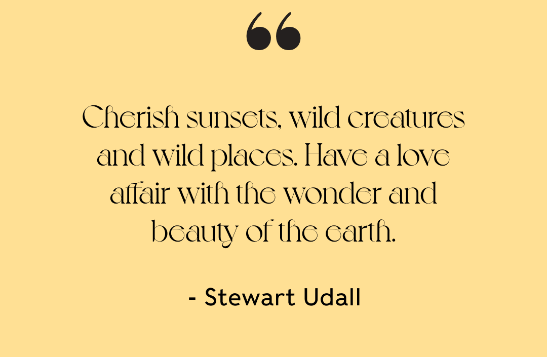 Cherish sunsets, wild creatures and wild places. Have a love affair with the wonder and beauty of the earth. - - Stewart Udall