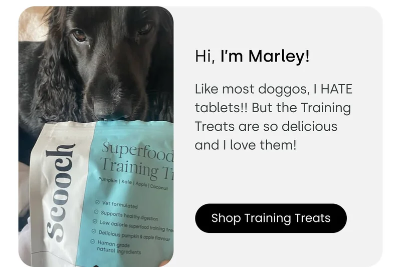 See Marley story - Shop Training Treats
