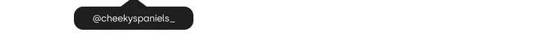 See @cheekyspaniels_ story
