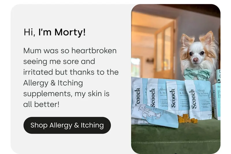 See Morty story - Shop Allergy & Itching