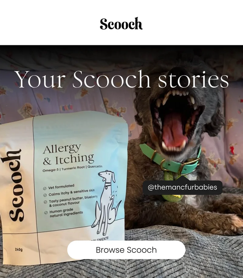 Your Scooch stories - Browse Scooch